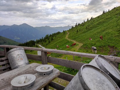 Urlaub auf dem Bauernhof - Frühstück - Österreich - Tofererhof