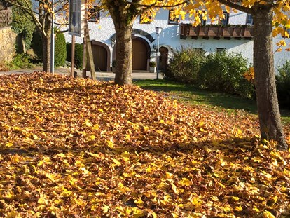 Urlaub auf dem Bauernhof - Lagerfeuerstelle - Oberösterreich - Herbststimmung - Eselgut  mit  Donautraumblick
