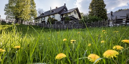 Urlaub auf dem Bauernhof - Tiere am Hof: Kühe - Niederösterreich - Pension-Kobichl