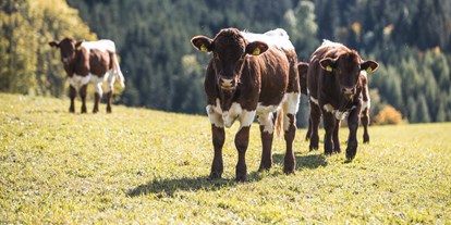 Urlaub auf dem Bauernhof - Jahreszeit: Sommer-Urlaub - Niederösterreich - Pension-Kobichl