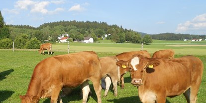 Urlaub auf dem Bauernhof - Umgebung: Urlaub in den Feldern - Oberösterreich - Sonnleitnerhof