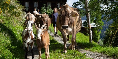 Urlaub auf dem Bauernhof - Gailtal - Familienwanderhof Eggeler