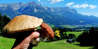 Urlaub auf dem Bauernhof - Umgebung: Urlaub in den Bergen - Tirol - Schwammerlzeit am Nobahof - Nobahof am Wilden Kaiser