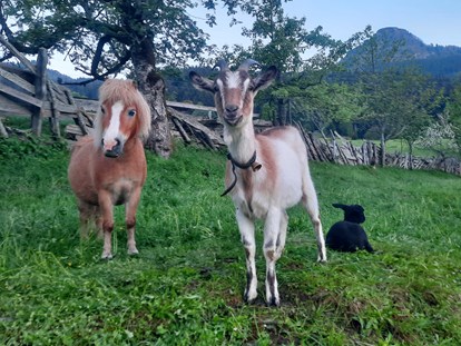 Urlaub auf dem Bauernhof - Alpen - Liebe Bauernhoftiere - Biohof Maurachgut