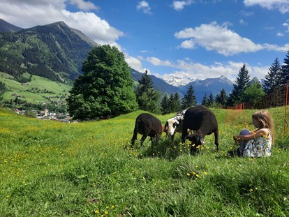 Urlaub auf dem Bauernhof - Umgebung: Urlaub in den Bergen - Österreich - Schafe beobachten und Natur genießen - Biohof Maurachgut