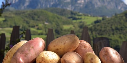 Urlaub auf dem Bauernhof - Art der Landwirtschaft: Weinbau - Trentino-Südtirol - Pignathof 
