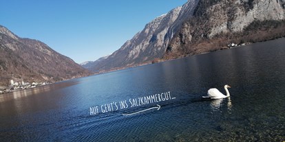 Urlaub auf dem Bauernhof - Schwimmmöglichkeit: Schwimmteich - Österreich - Grafhaidergut