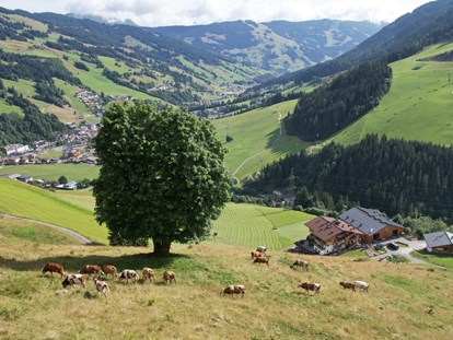 Urlaub auf dem Bauernhof - Fahrzeuge: Ballenpresse - Österreich - Sommerferien in absoluter Ruhelage - direkt hinterm Haus grasen die Kühe, Kälber und Ziegen - Ferienwohnungen Perfeldhof