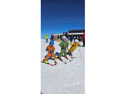 Urlaub auf dem Bauernhof - Spielplatz - "Skiteam Perfeldhof" - Ferienwohnungen Perfeldhof