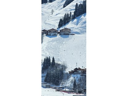Urlaub auf dem Bauernhof - Alpen - Unsere Lage direkt an der frisch verschneiten Piste - Ferienwohnungen Perfeldhof
