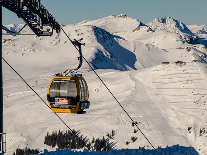 Urlaub auf dem Bauernhof - Skifahren - Salzburg - Saalbach-Hinterglemm - eines der größten Familienskigebiete der Alpen - Ferienwohnungen Perfeldhof