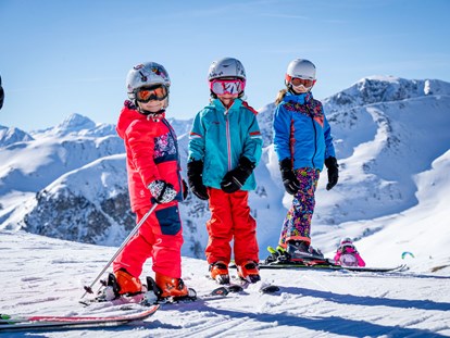 Urlaub auf dem Bauernhof - Mithilfe beim: Heuernten - Österreich - Skifahren mit Kindern - Ferienwohnungen Perfeldhof