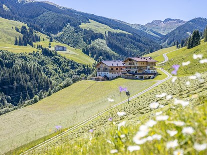 Urlaub auf dem Bauernhof - Alpen - Ferienwohnungen Perfeldhof