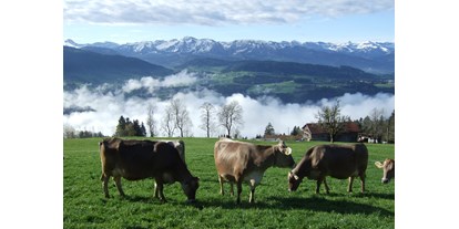 Urlaub auf dem Bauernhof - Frühstück - Vorarlberg - Aktive Landwirtschaft - Haus Adlerhorst