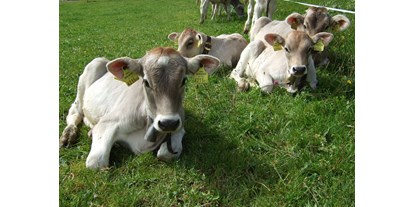 Urlaub auf dem Bauernhof - Tiere am Hof: Ziegen - Vorarlberg - Schöner Nachwuchs - Haus Adlerhorst