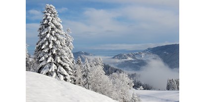 Urlaub auf dem Bauernhof - Vorarlberg - Winterwunderland - Haus Adlerhorst
