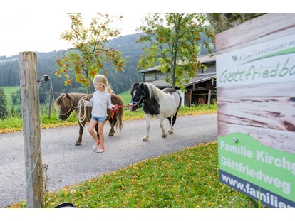 vacation on the farm - Bio-Bauernhof - Salzburg - Die Ponys kommen auf die Weide - Bio-Familienbauernhof Göttfriedbauer
