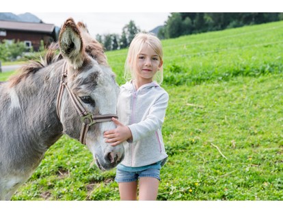 Urlaub auf dem Bauernhof - Tiere am Hof: Katzen - Salzburg - Esel auf der Weide - Bio-Familienbauernhof Göttfriedbauer