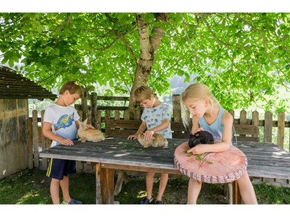 Urlaub auf dem Bauernhof - Salzburg - Spielen mit den Tieren - Bio-Familienbauernhof Göttfriedbauer