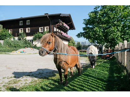 Urlaub auf dem Bauernhof - Tiere am Hof: Ziegen - Salzburg - Bio-Familienbauernhof Göttfriedbauer