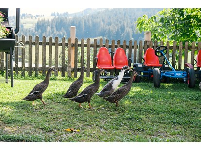 Urlaub auf dem Bauernhof - Fahrzeuge: Balkenmäher - Österreich - Entenfamilie - Bio-Familienbauernhof Göttfriedbauer
