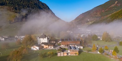Urlaub auf dem Bauernhof - Salzburg - Unser Hofensemble: Schloss Saalhof mit Moarhaus und Zuhaus und Stallgebäuden - Schloss Saalhof