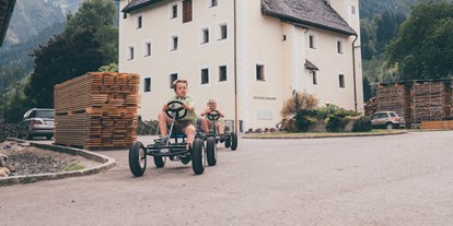 Urlaub auf dem Bauernhof - Stromanschluss: für Campingwagen - Fahren mit den Gokarts auf unserem Hof - Schloss Saalhof