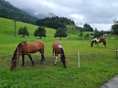 vacation on the farm - Rodeln - Salzburg - Ferienparadies Taxen