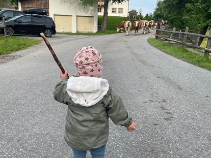 Urlaub auf dem Bauernhof - Tiere am Hof: Pferde - Salzburg - Ferienparadies Taxen