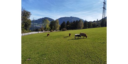 Urlaub auf dem Bauernhof - erreichbar mit: Fahrrad - Salzburg - Blickrichtung Skigebiet Snow Space Alpendorf (5-10 Autominuten entfernt) - Bauernhof Sonnenhuab 