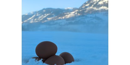 Urlaub auf dem Bauernhof - Tiere am Hof: Hasen - Salzburg - täglich frische Eier von unseren Hühnern  - Bauernhof Sonnenhuab 