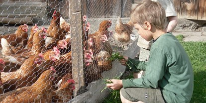 Urlaub auf dem Bauernhof - Tiere am Hof: Hühner - Tirol - Jenneweinhof