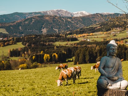 Urlaub auf dem Bauernhof - ideal für: Pärchen - Österreich - Hacknerhof  -  Bio- & Gesundheitsbauernhof