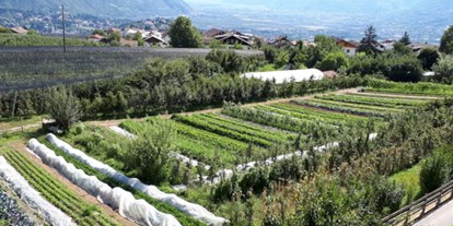 Urlaub auf dem Bauernhof - Südtirol - unsere Gemüsewiese - Bachguterhof