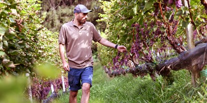 Urlaub auf dem Bauernhof - Art der Landwirtschaft: Weinbau - in unserem Weinberg - Biogutshof Castel Campan