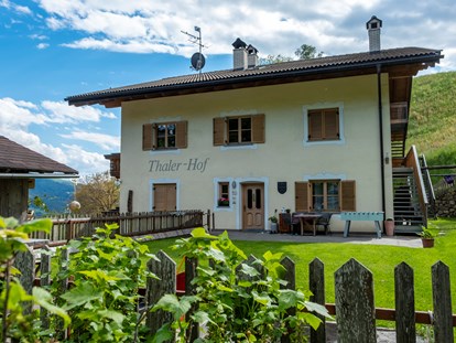 Urlaub auf dem Bauernhof - Tiere am Hof: Schweine - Italien - Thalerhof Feldthurns bei Brixen