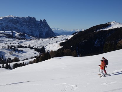 Urlaub auf dem Bauernhof - Jahreszeit: Sommer-Urlaub - Winter- & Schneehschuhwandern in Südtirol: Natur. Ruhe & Stille. Erholung pur.
Die Dolomitenregion Seiser Alm lädt zum Winter- und Schneeschuhwandern - Binterhof