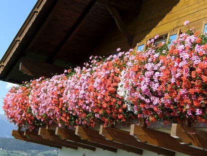 Urlaub auf dem Bauernhof - Fahrzeuge: Heuwender - Trentino-Südtirol - Liebevoll dekorierte Balkone am Binterhof - Binterhof