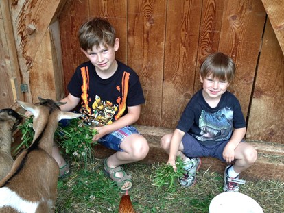 Urlaub auf dem Bauernhof - Tiere am Hof: Katzen - Streichelzoo für Kinder - Binterhof