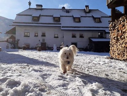 Urlaub auf dem Bauernhof - Art der Unterkunft: Ferienwohnung - Trentino-Südtirol - Winter am Oberwieserhof - Ferienwohnungen Oberwieserhof