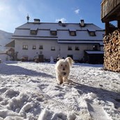 Urlaub auf dem Bauernhof: Winter am Oberwieserhof - Ferienwohnungen Oberwieserhof