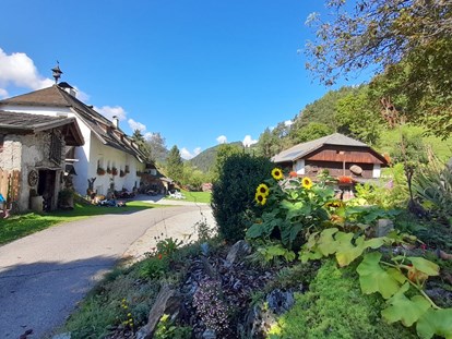 Urlaub auf dem Bauernhof - Trampolin - Alpen - Unsere Hofzufahrt - Ferienwohnungen Oberwieserhof