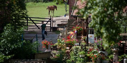 Urlaub auf dem Bauernhof - Tiere am Hof: Ponys - Brandenburg - Naturbauernhof Gierke