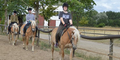 Urlaub auf dem Bauernhof - Tiere am Hof: Ponys - Deutschland - Reitunterircht - Haflingerhof Noack