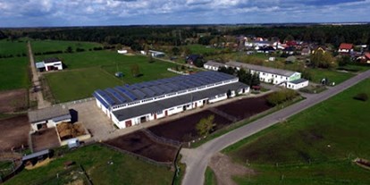 Urlaub auf dem Bauernhof - Tischtennis - Brandenburg - Luftbild - Haflingerhof Noack