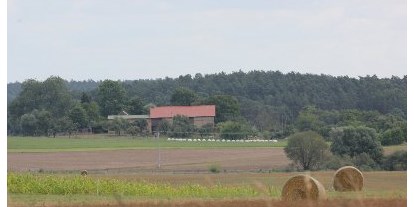 Urlaub auf dem Bauernhof - nachhaltige Landwirtschaft - Brandenburg - Feldansicht des Hofes - Hof Georgenhöhe