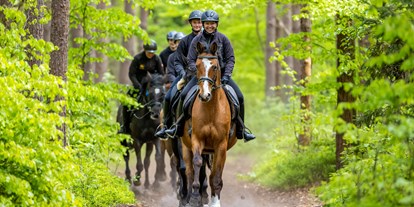 Urlaub auf dem Bauernhof - Tiere am Hof: Pferde - Mecklenburg-Vorpommern - Ausritte druch die Ostseelandschaft - Bernsteinland Hirschburg