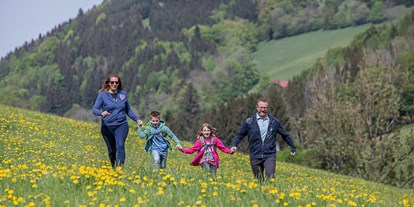 Urlaub auf dem Bauernhof - Oberösterreich - Spaziergang mit der ganzen Familie in den wunderschön blühenden Wiesen. - Ferienhof Pfaffenlehen