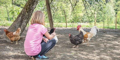 Urlaub auf dem Bauernhof - Frühstück - Oberösterreich - Einmal nachsehen ob die Hühner schon mein Frühstücksei gelegt haben. - Ferienhof Pfaffenlehen
