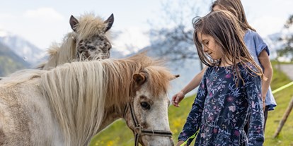 Urlaub auf dem Bauernhof - Kräutergarten - Gailtal - unsere zwei Ponys- Straciatella und Karamella - Panoramahof am Goldberg